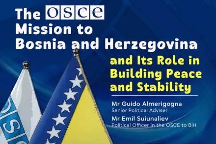 Workshop: The OSCE Mission to Bosnia and Herzegovina and Its Role in Building Peace and Stability